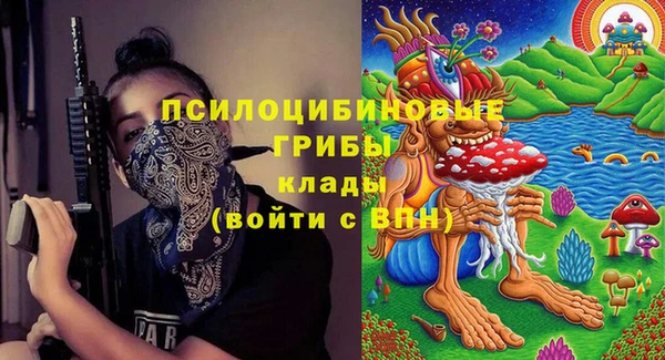 МДПВ Навашино