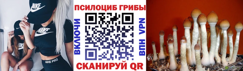 Галлюциногенные грибы MAGIC MUSHROOMS  Змеиногорск 