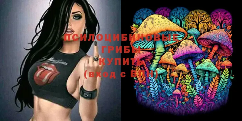 Псилоцибиновые грибы Magic Shrooms  Змеиногорск 